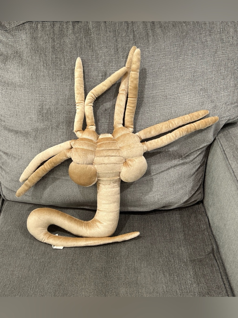 Think Geek Aliens/Alien Movie Plush Stuffed Facehugger Face Hugger Creature